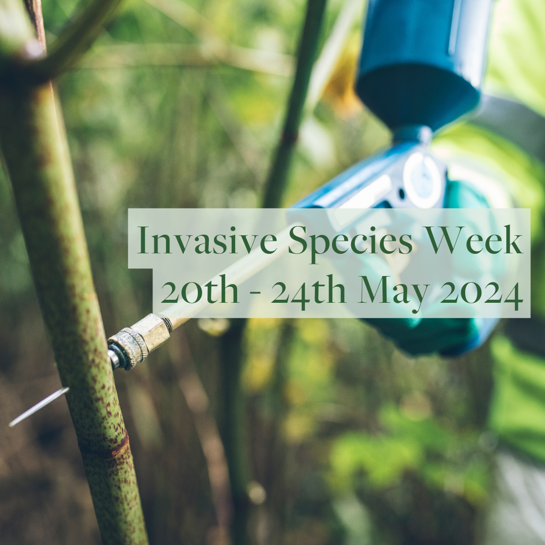 Invasive Species Week 2024